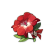 Rote Kampfkünstlerblume